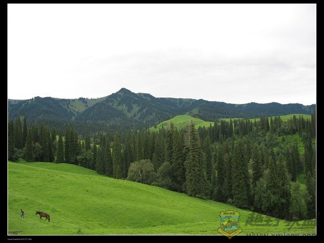 IMG_6252.jpg