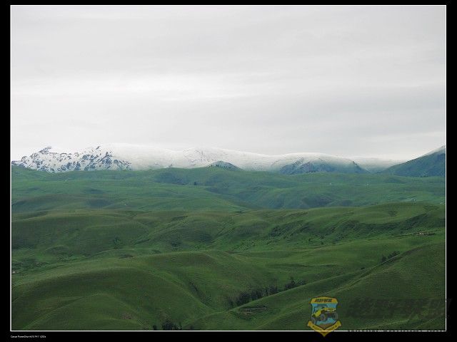 IMG_6257.jpg