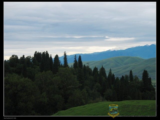 IMG_6261.jpg