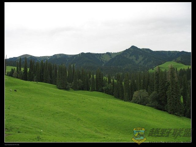 IMG_6271.jpg