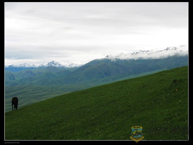 IMG_6289.jpg