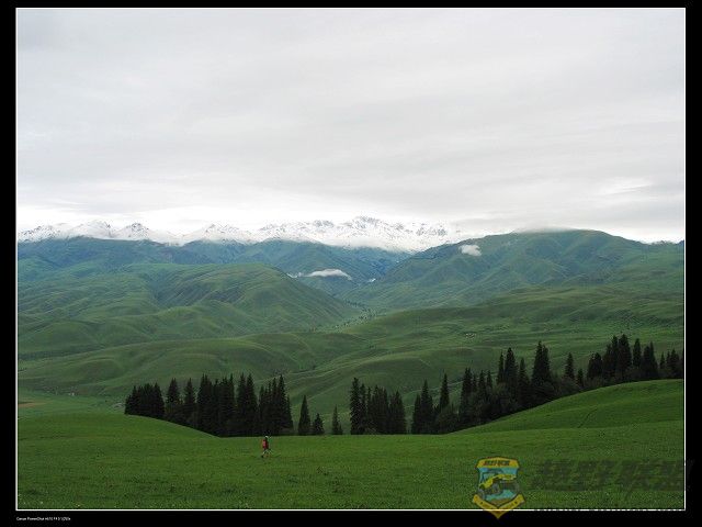 IMG_6295.jpg