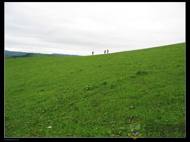 IMG_6299.jpg
