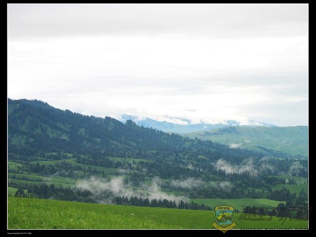 IMG_6318.jpg