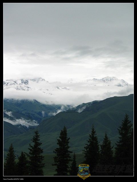 IMG_6325.jpg