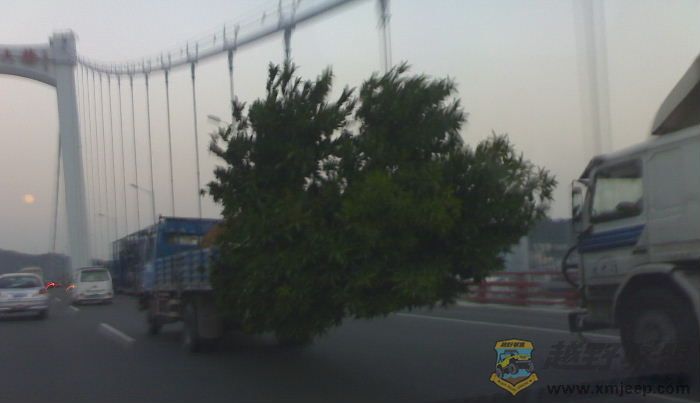 20070926570.jpg