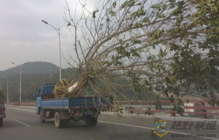 20071220689.jpg