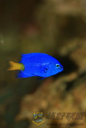 IMG_0437.jpg