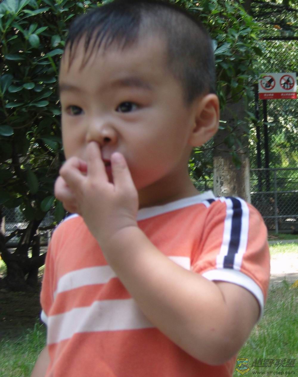 SNV80118.JPG