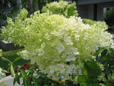 Ƭ 088_resize.jpg