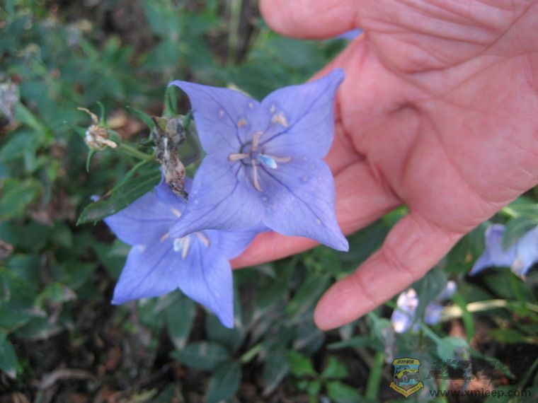 Ƭ 046_resize.jpg