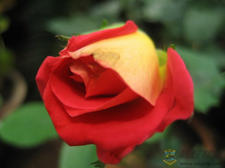 Ƭ 068_resize.jpg