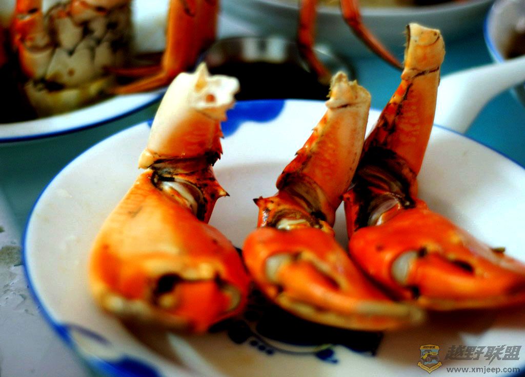 ǯ.jpg
