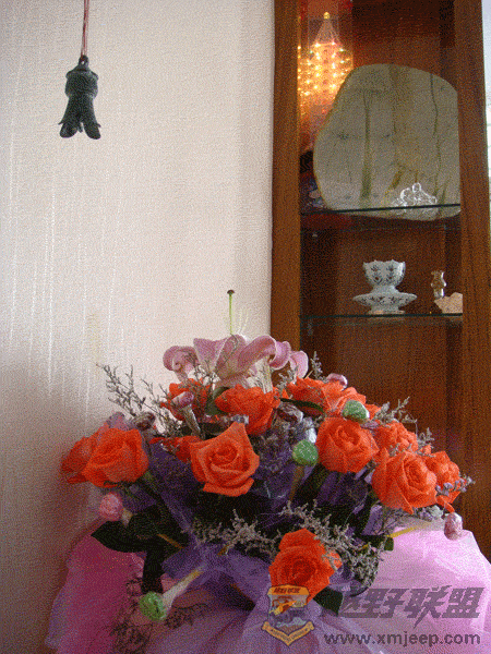 DSC00039.gif