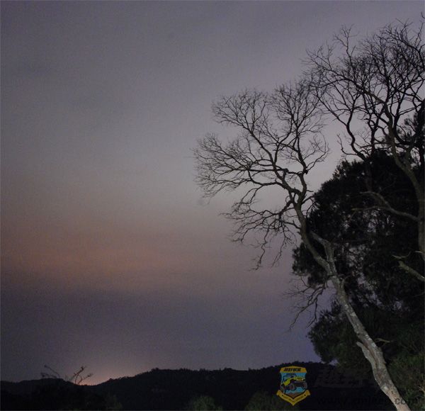 DSC_3555PS.jpg