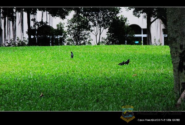 Ƭ 021.jpg