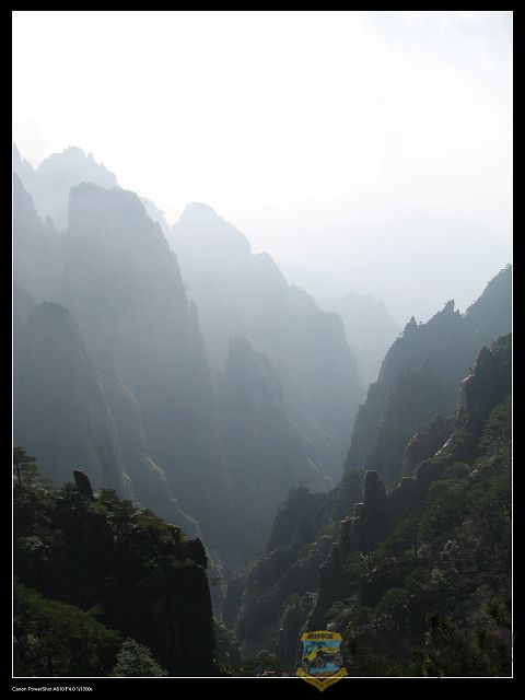 IMG_3703Ͽ.jpg