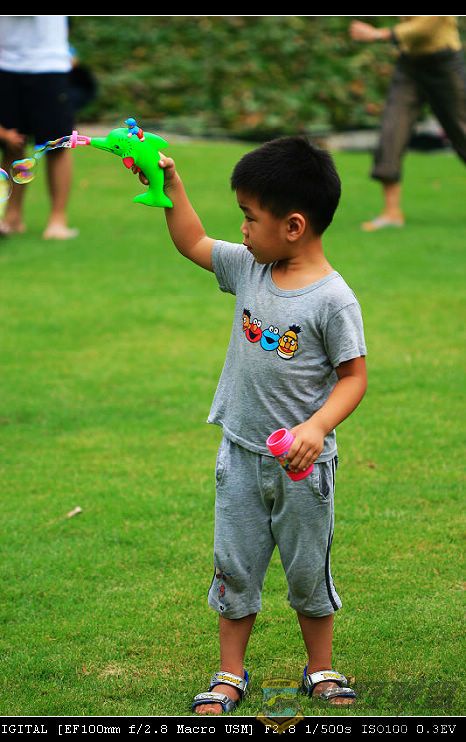 IMG_9871.jpg