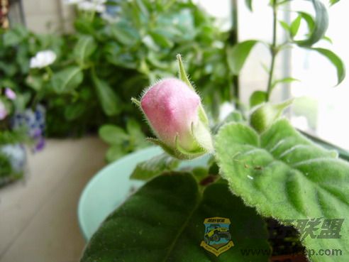 P9090008_resize.JPG