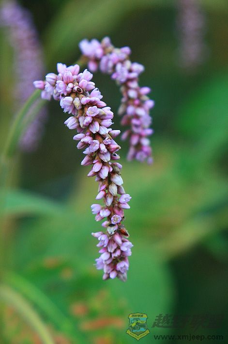 IMG_9913.jpg