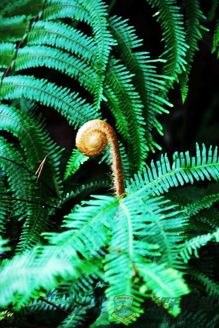 nEO_IMG_20081019ճ̩۷ɽׯ 042.jpg