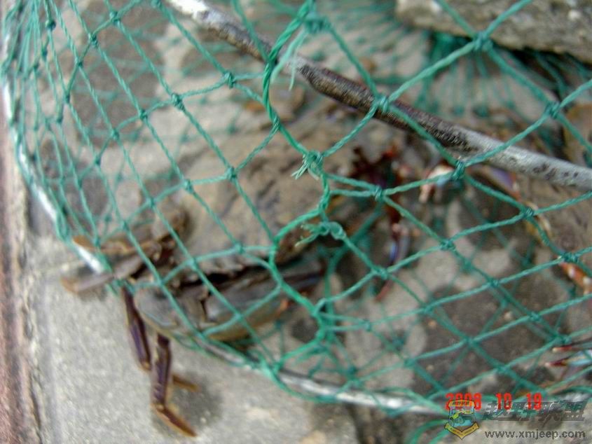 С ع DSC09727.JPG
