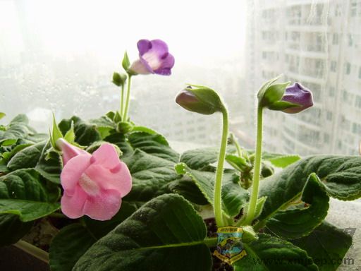 PA300093_resize.JPG