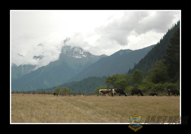 DSC_6904.jpg