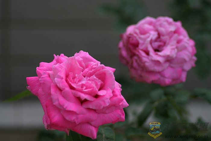 IMG_1002.jpg