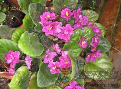 IMG_0024_С.JPG