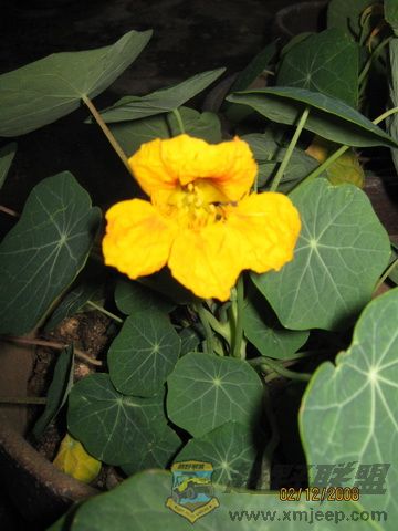 IMG_0008_С.JPG