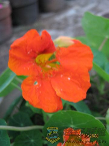 IMG_0012_С.JPG