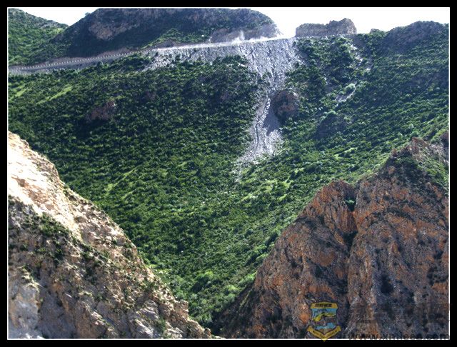 DSCF2328.jpg