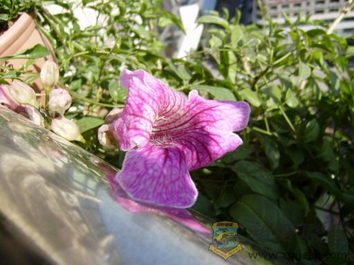 PC180263_resize.JPG