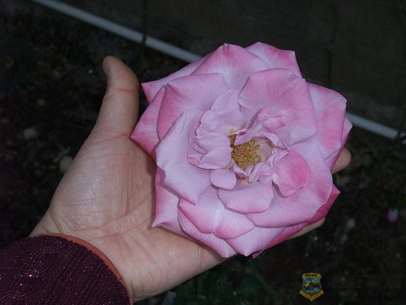 DSCF0886.jpg