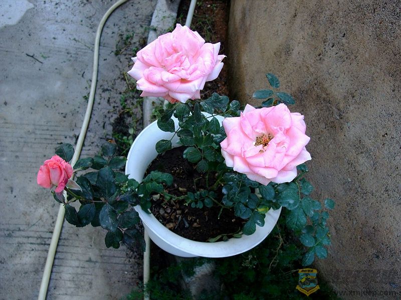 DSCF0899.jpg