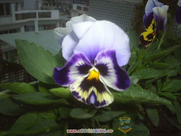 ɫ010032.JPG