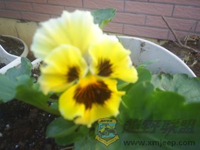 ɫ010183.JPG