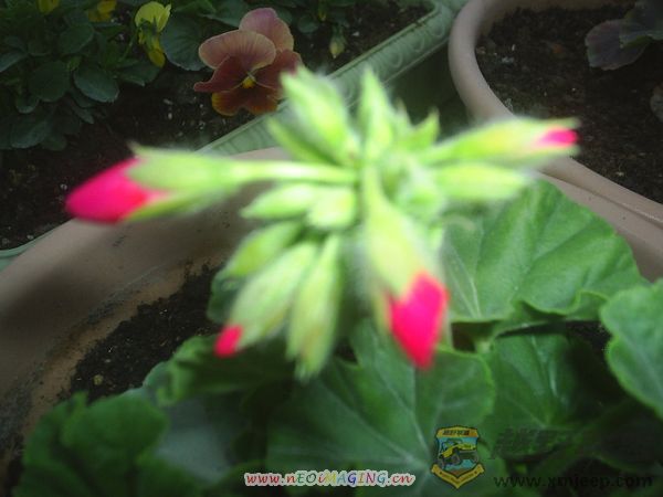 ÿ010040.JPG