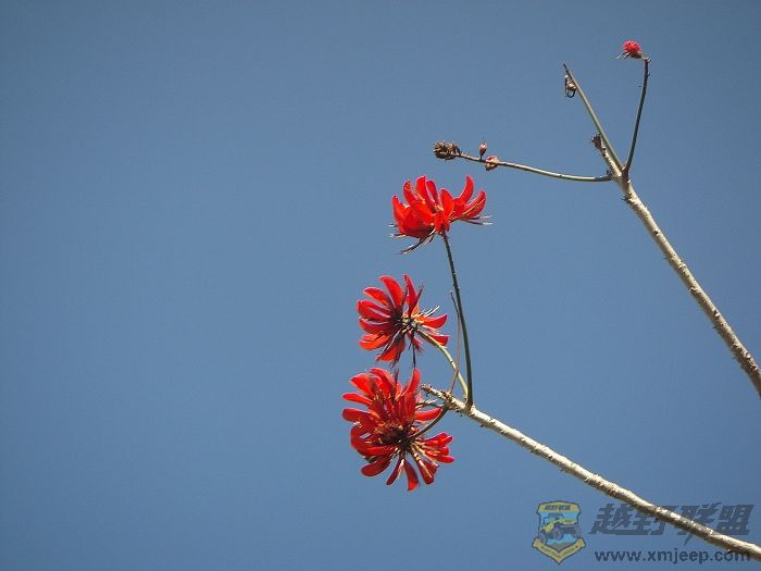 CAM_0035.jpg