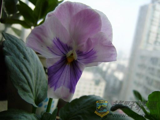 PC250330_resize.JPG