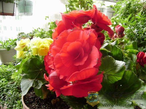 PC230293_resize.JPG