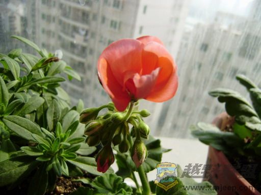 PC250321_resize.JPG