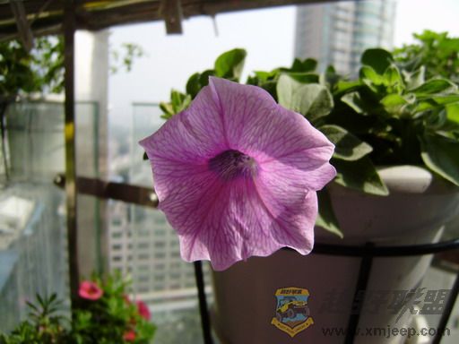 PC250312_resize.JPG
