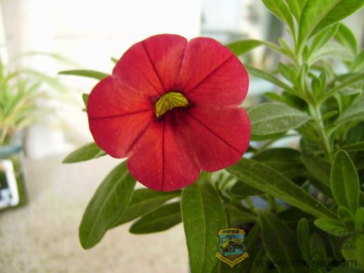 PC250320_resize.JPG