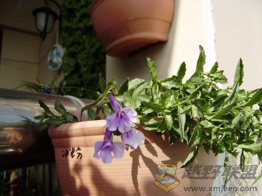 PC260341_resize.JPG
