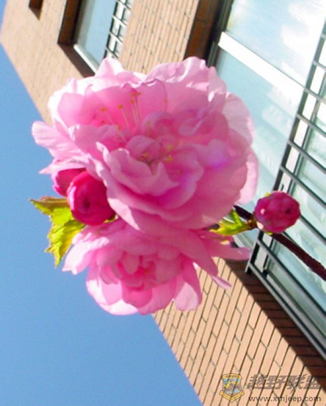 DSC01269.jpg