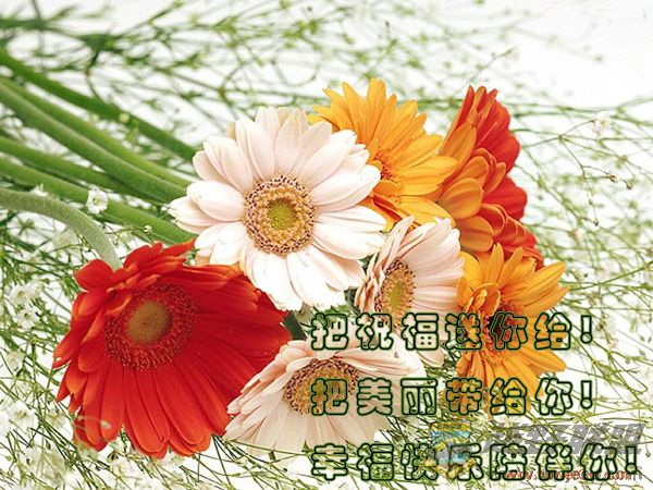 photoimg378.jpg