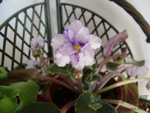 P1100087_resize.JPG