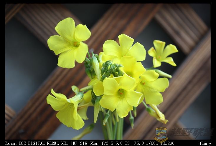 IMG_0331a.jpg